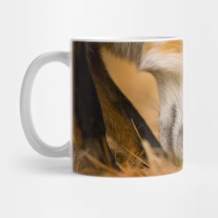 Red Fox Mug